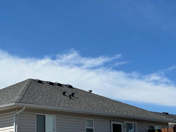 Best Roof Leak Repair  in Oaklawn Sunview, KS